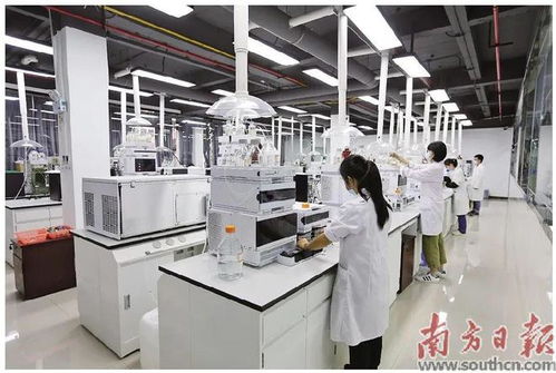 蓬江 以科技創(chuàng)新為引擎，新材料研發(fā)驅(qū)動產(chǎn)業(yè)升級