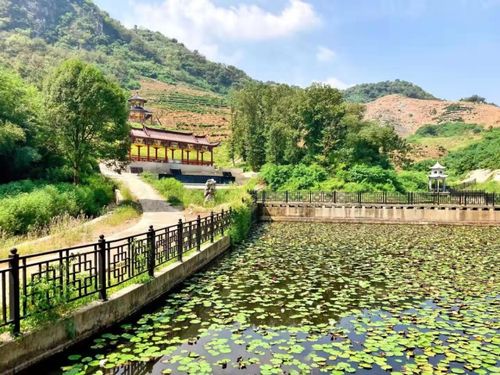 原來家門口這么多好玩的 國(guó)慶假期,武穴人必去的景點(diǎn)都在這