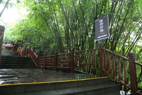 通知丨龍宮景區(qū)調(diào)整部分游覽線路及龍宮精品旅游攻略